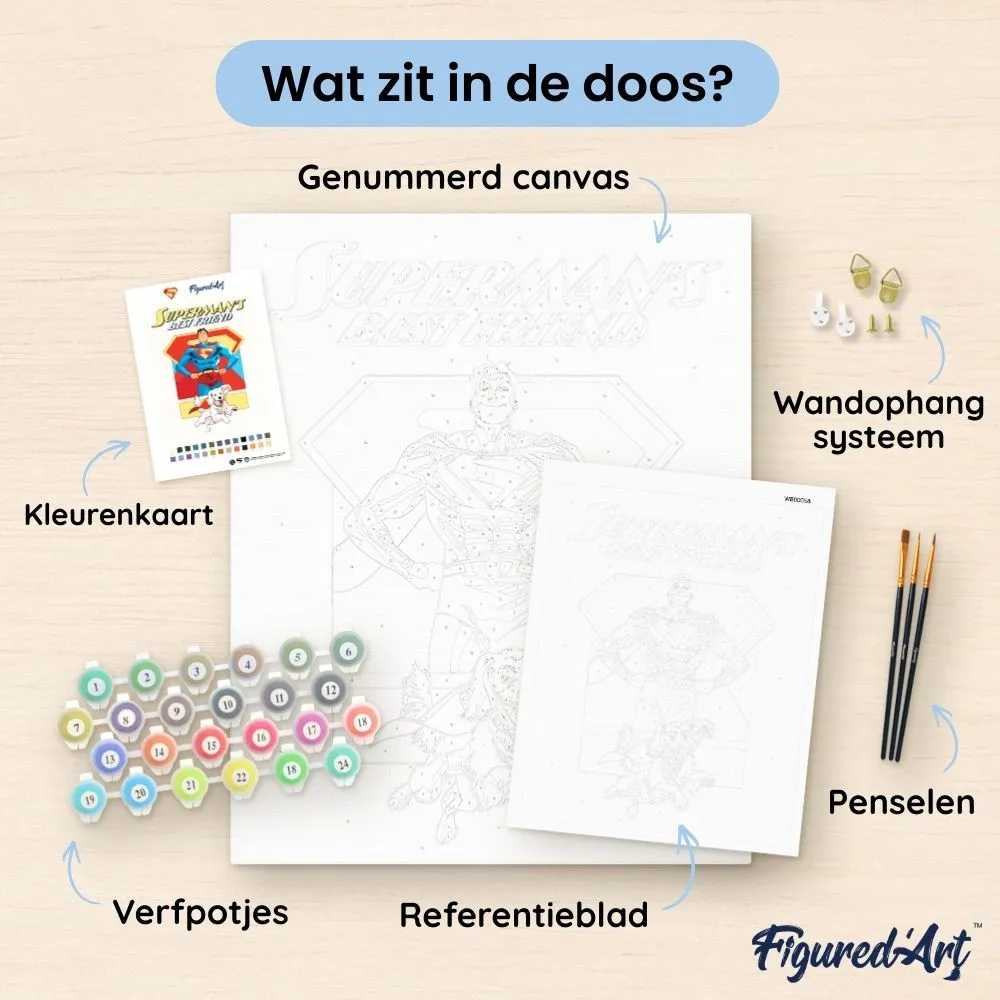 Figured'Art Supermans beste vriend schilderen op nummer 40x50