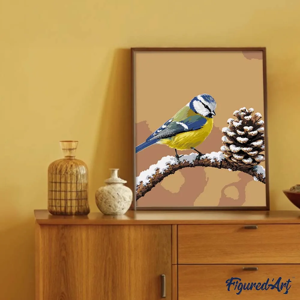 Figured'Art Pimpelmees schilderen op nummer 40x50 cm vogel