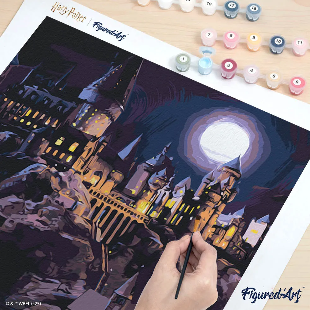 Figured'Art Harry Potter Hogwarts Schilderen op Nummer 40x50cm