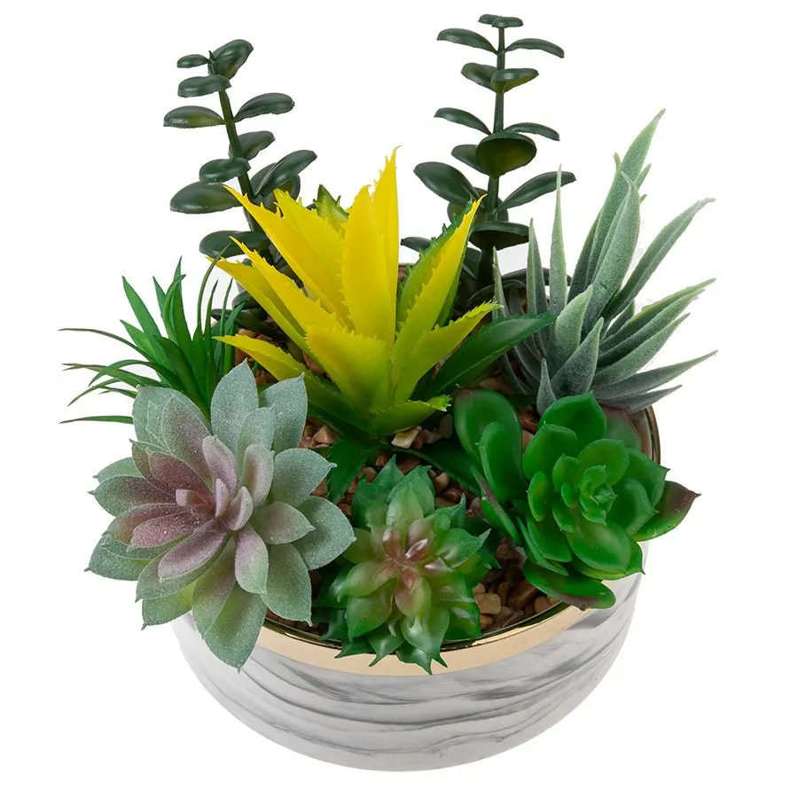 Craft Buddy Forever Flowerz vetplantjes met keramieken pot 15cm