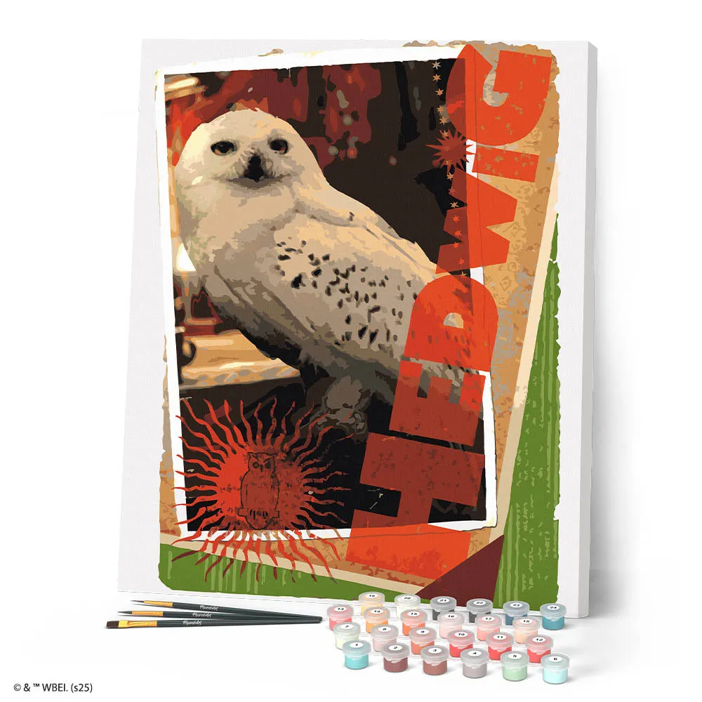 Figured'Art Harry Potter Hedwig-kaart schilderen op nummer 40x50cm
