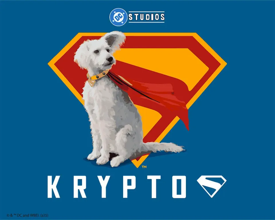 Figured'Art Superman Krypto met S-schild schilderen op nummer 40x50 cm