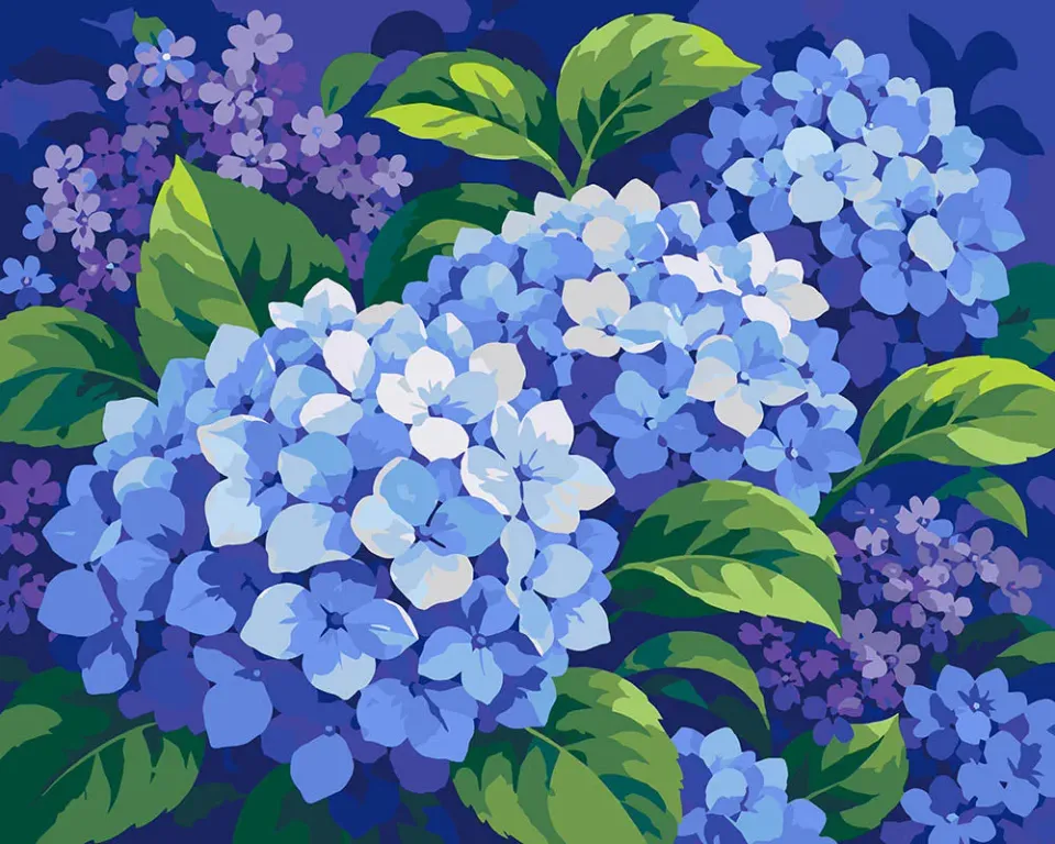 Figured'Art Blauwe hortensia schilderen op nummer 40x50 cm eenvoudig