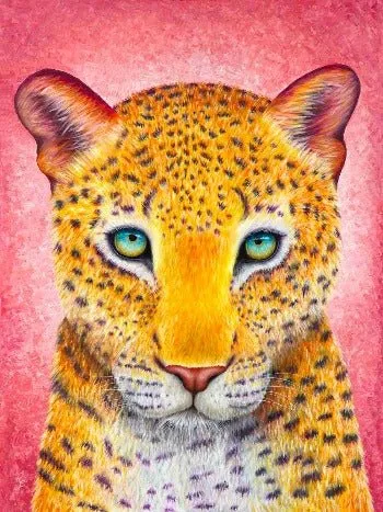 Craft Buddy Rise Rachel Froud schilderen op nummer 30x40cm
