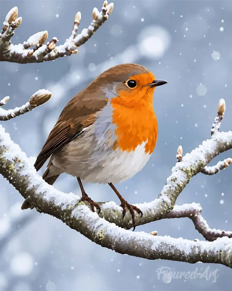 Figured'Art Winterroodborstje schilderen op nummer 40x50 cm vogel