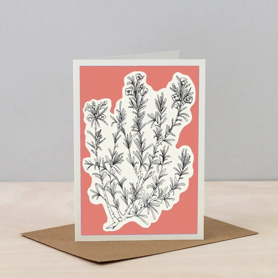 Studio Wald Herbs Line 3 wenskaart A6 blanco kruiden