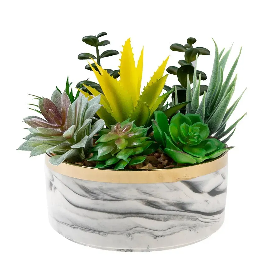 Craft Buddy Forever Flowerz vetplantjes met keramieken pot 15cm