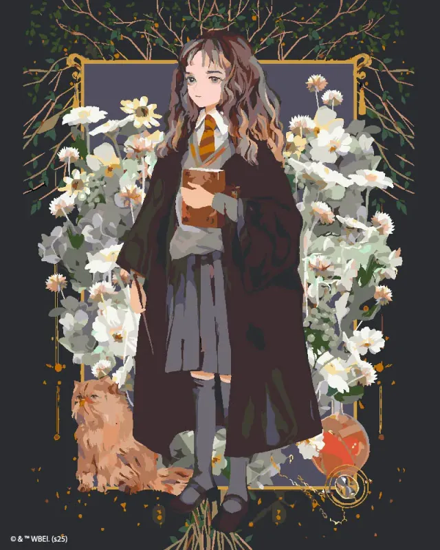 Figured'Art Harry Potter Hermione Granger Yume schilderen op nummer 40x50 cm