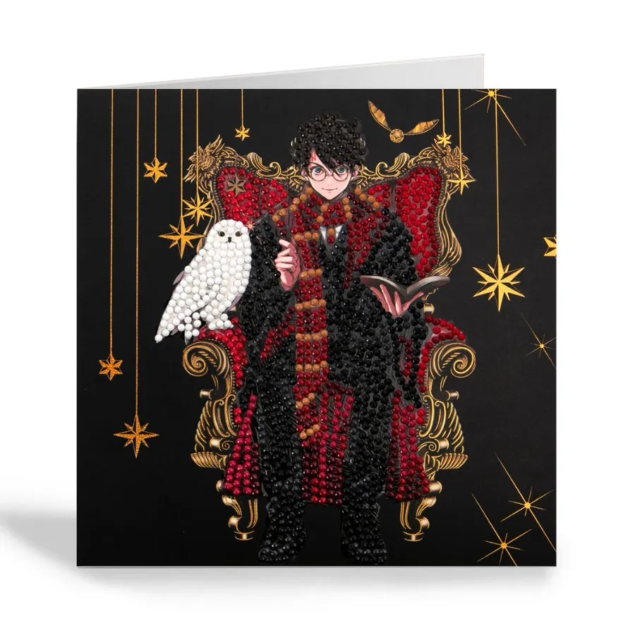 Craft Buddy Harry Potter Harry & Hedwig crystal art kaart 18cm