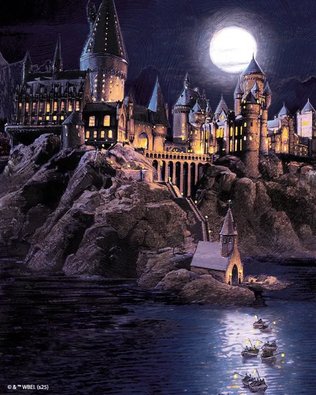 Figured'Art Hogwarts Kasteel diamond painting 40x50cm ingelijst nacht