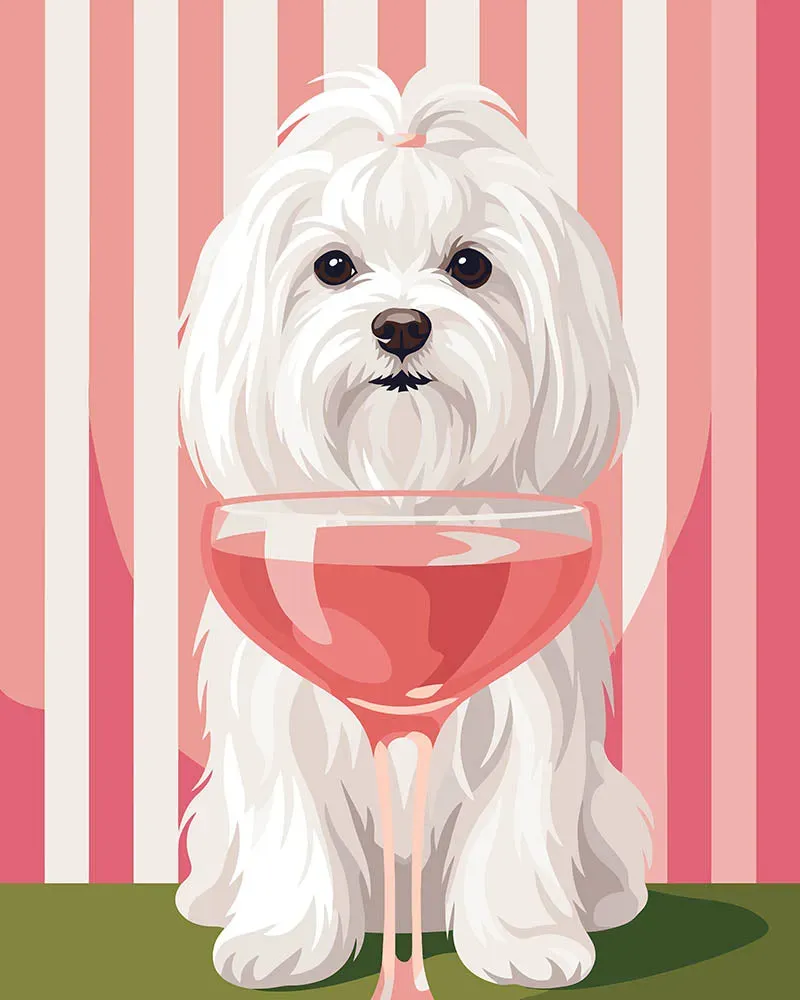 Figured'Art Lieve Maltezer schilderen op nummer 40x50 cm hond
