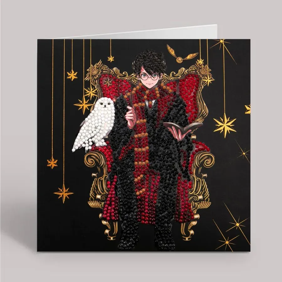 Craft Buddy Harry Potter Harry & Hedwig crystal art kaart 18cm