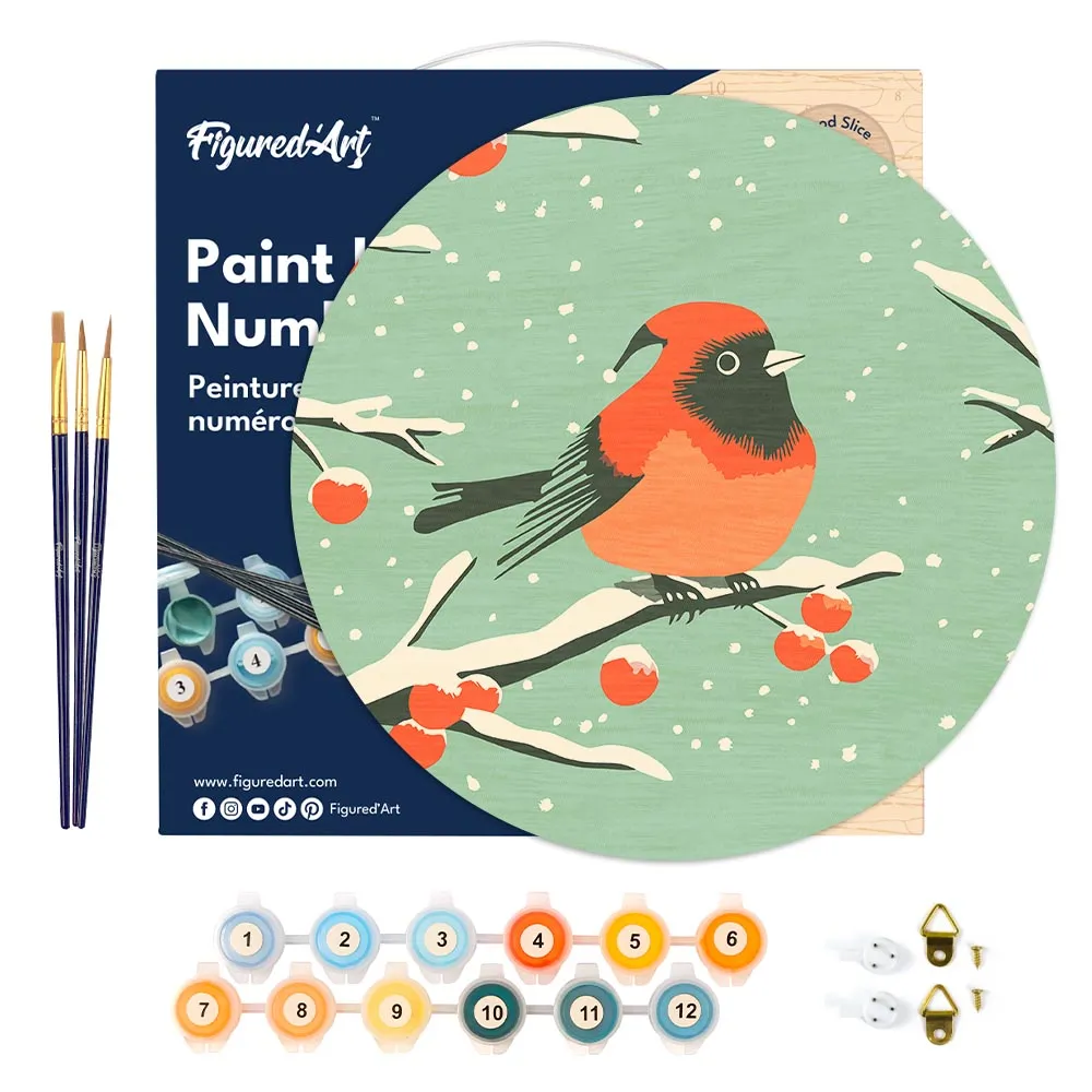 Figured'Art Winter roodborstje schilderen op nummer houten schijf 30 cm