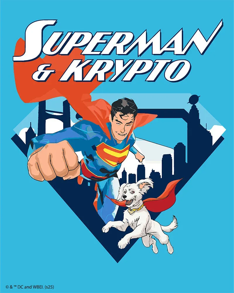 Figured'Art Superman & Krypto Skyline schilderen op nummer 40x50 cm collector