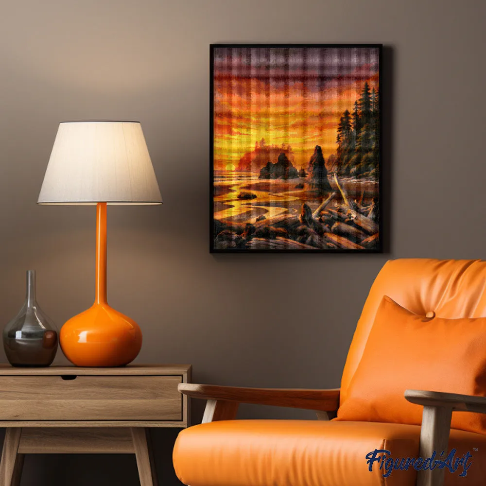 Figured'Art Olympic National Park diamond painting Washington