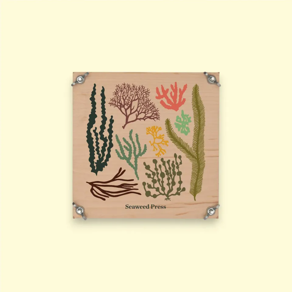 Studio Wald Seaweed Press zeewierpers 15x15 cm board