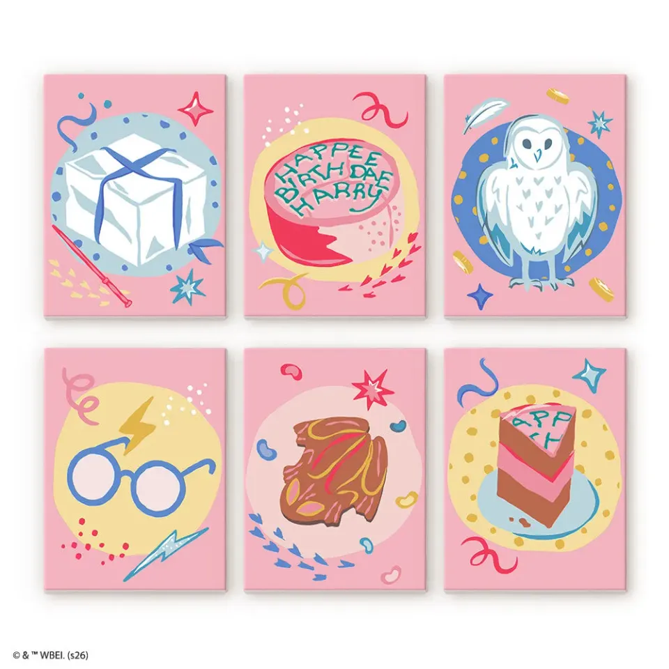 Figured'Art Gefeliciteerd Harry Potter schilderen op nummer 15x20cm 6 stuks