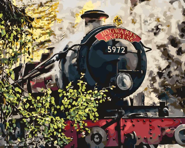 Figured'Art Harry Potter Hogwarts Express schilderen op nummer 40x50 cm