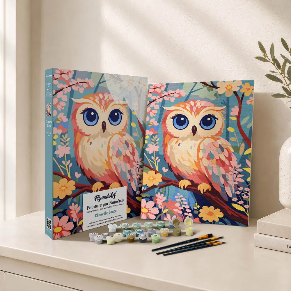 Figured'Art Schattige Uil cadeauset schilderen op nummer