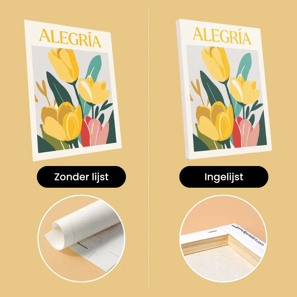 Figured'Art Mini Bloeiende Emoties 3 schilderen op nummer 15x20cm 6 stuks