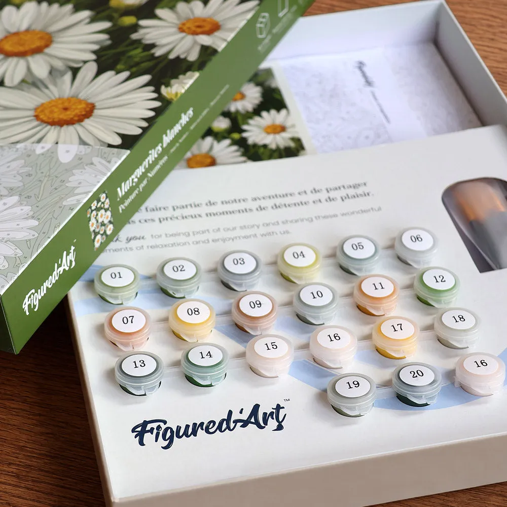 Figured'Art Witte Madeliefjes schilderen op nummers 24,5x32,5 cm
