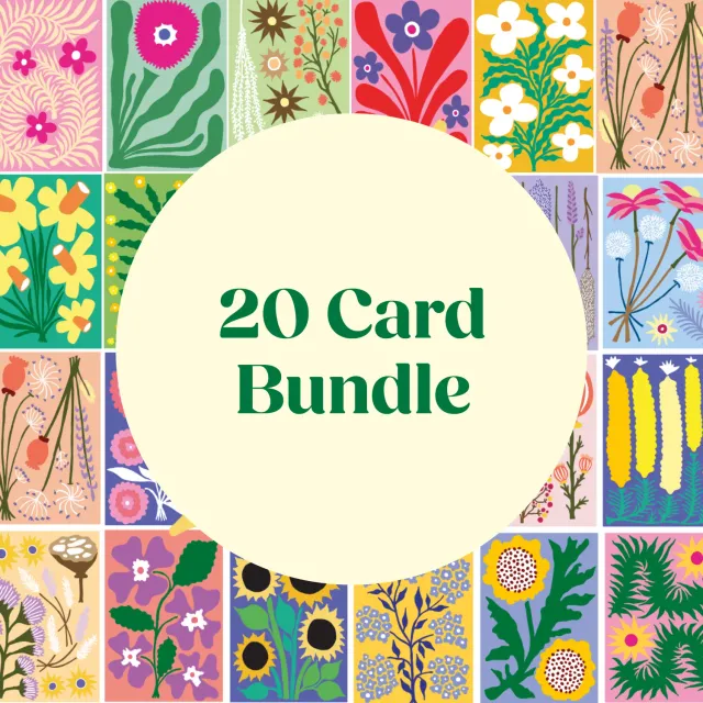 Studio Wald 20 Card Mystery Bundle wenskaarten 20 stuks blanco