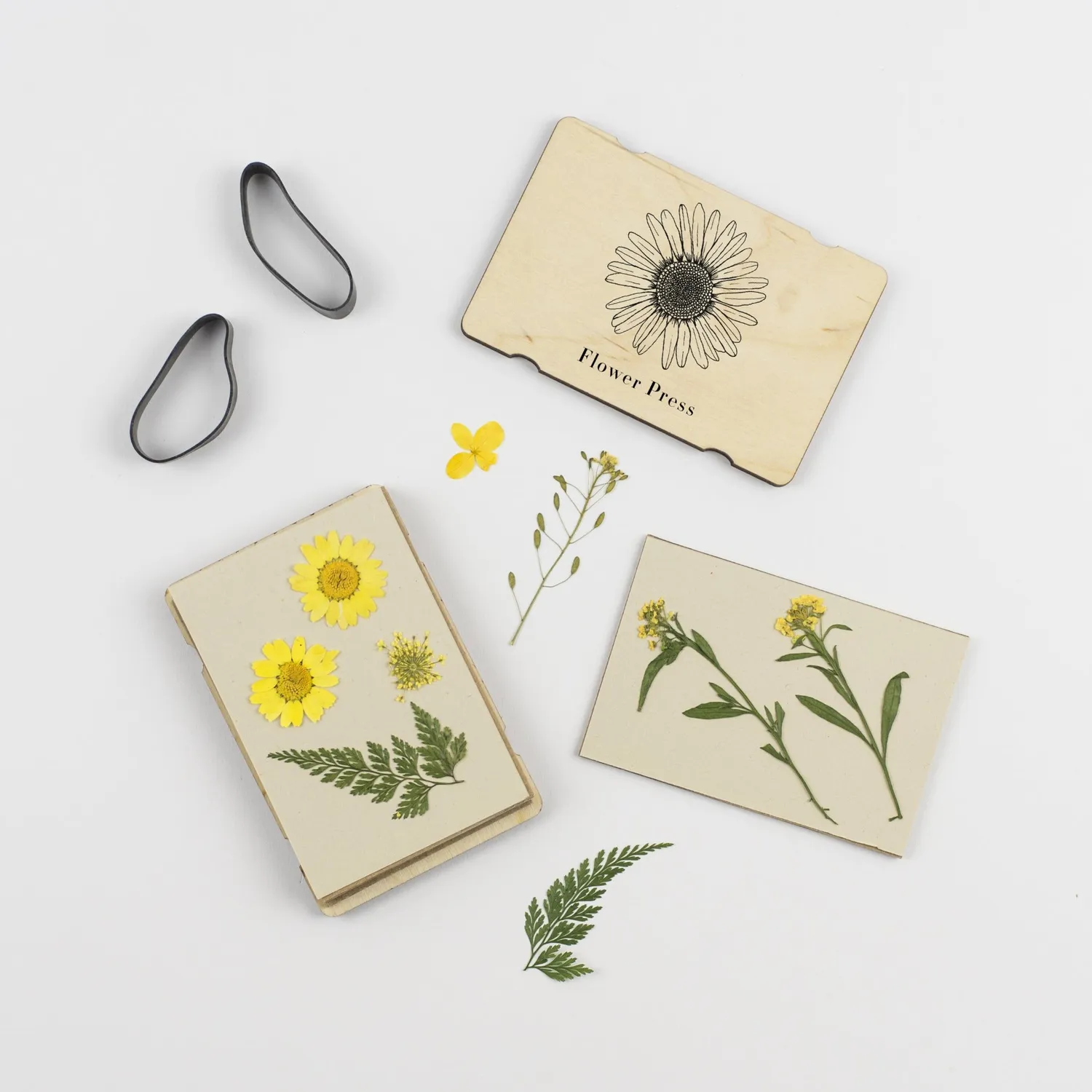 Studio Wald Pocket Flower Press bloemenpers Line Daisy