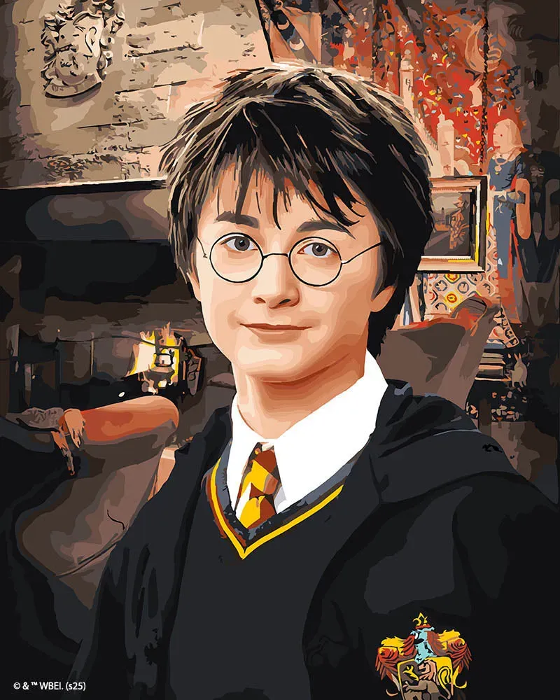 Figured'Art Portret van Harry Potter schilderen op nummer 40x50 cm gemiddeld