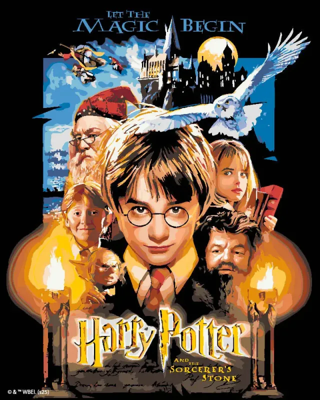 Figured'Art Harry Potter en de Steen der Wijzen Poster schilderen op nummer 40x50 zonder lijst