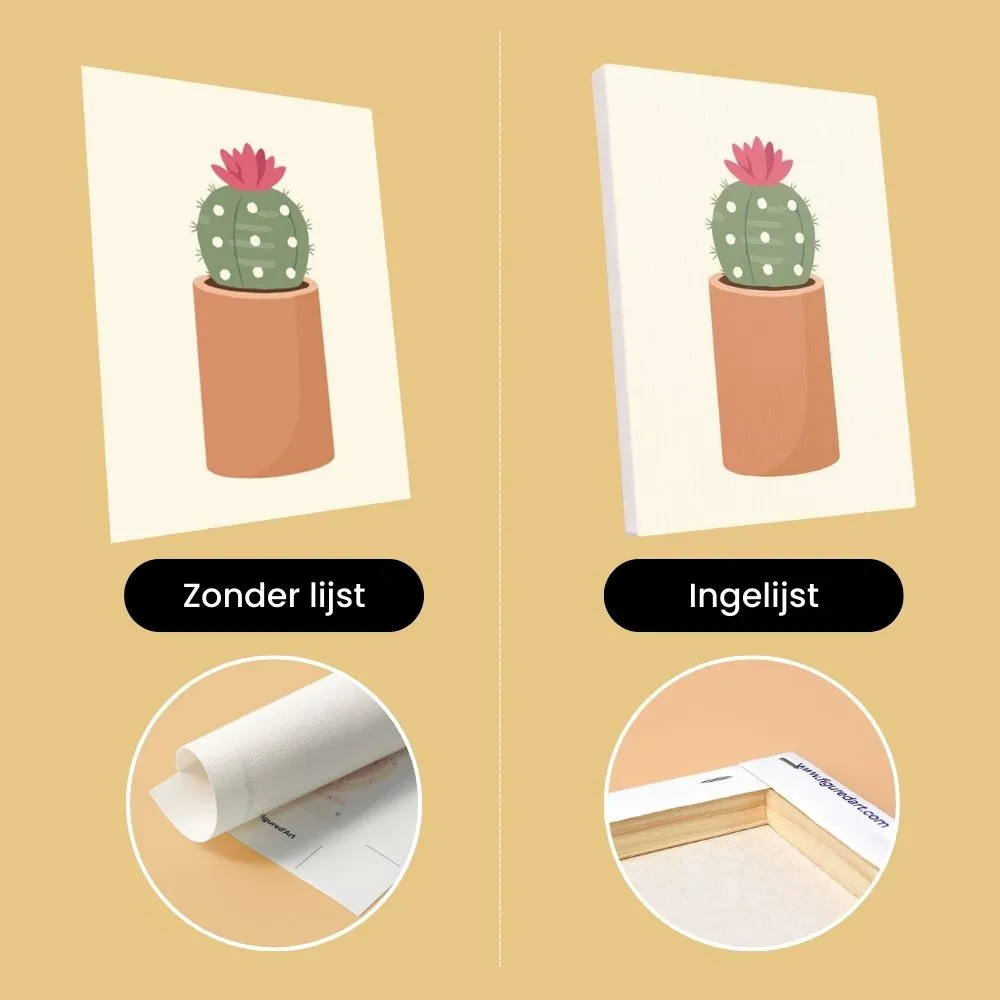 Figured'Art Cactuscollectie 1 schilderen op nummer 15x20cm 6 stuks