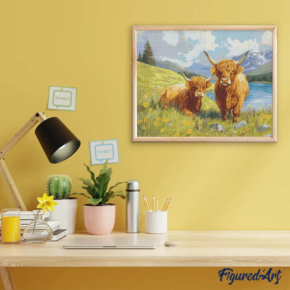 Figured'Art Diamond Painting Hooglander Familie 40x50cm