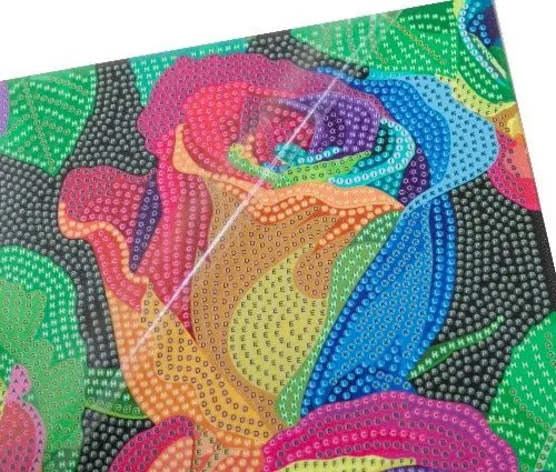 Craft Buddy Crystal Art Rainbow Roses canvas 30x30 cm