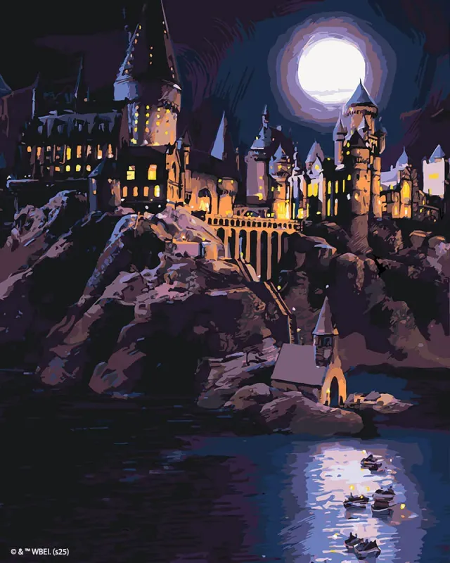 Figured'Art Harry Potter Hogwarts Schilderen op Nummer 40x50cm