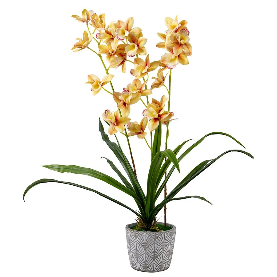 Craft Buddy Forever Flowerz Cymbidium orchidee geel crème set