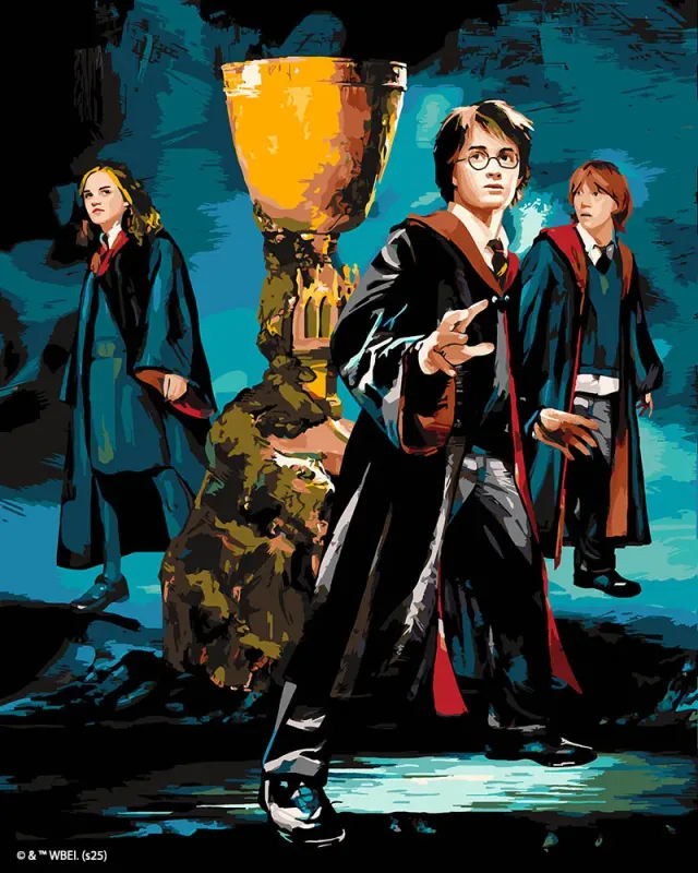 Figured'Art Harry Potter schilderen op nummer Het Trio Vuurbeker 40x50cm