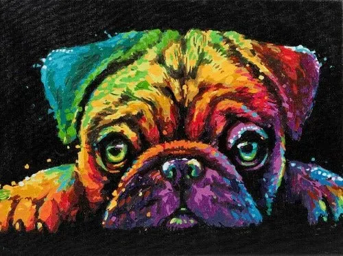 Craft Buddy Paint by Numb3rs Pup's Dream schilderen op nummer 30x40cm