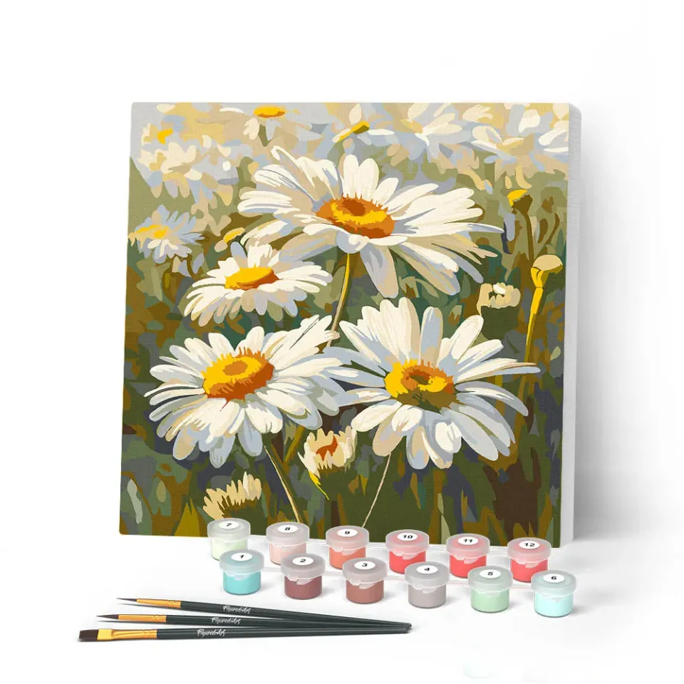Figured'Art Madeliefjes mini schilderen op nummer 20x20cm met frame