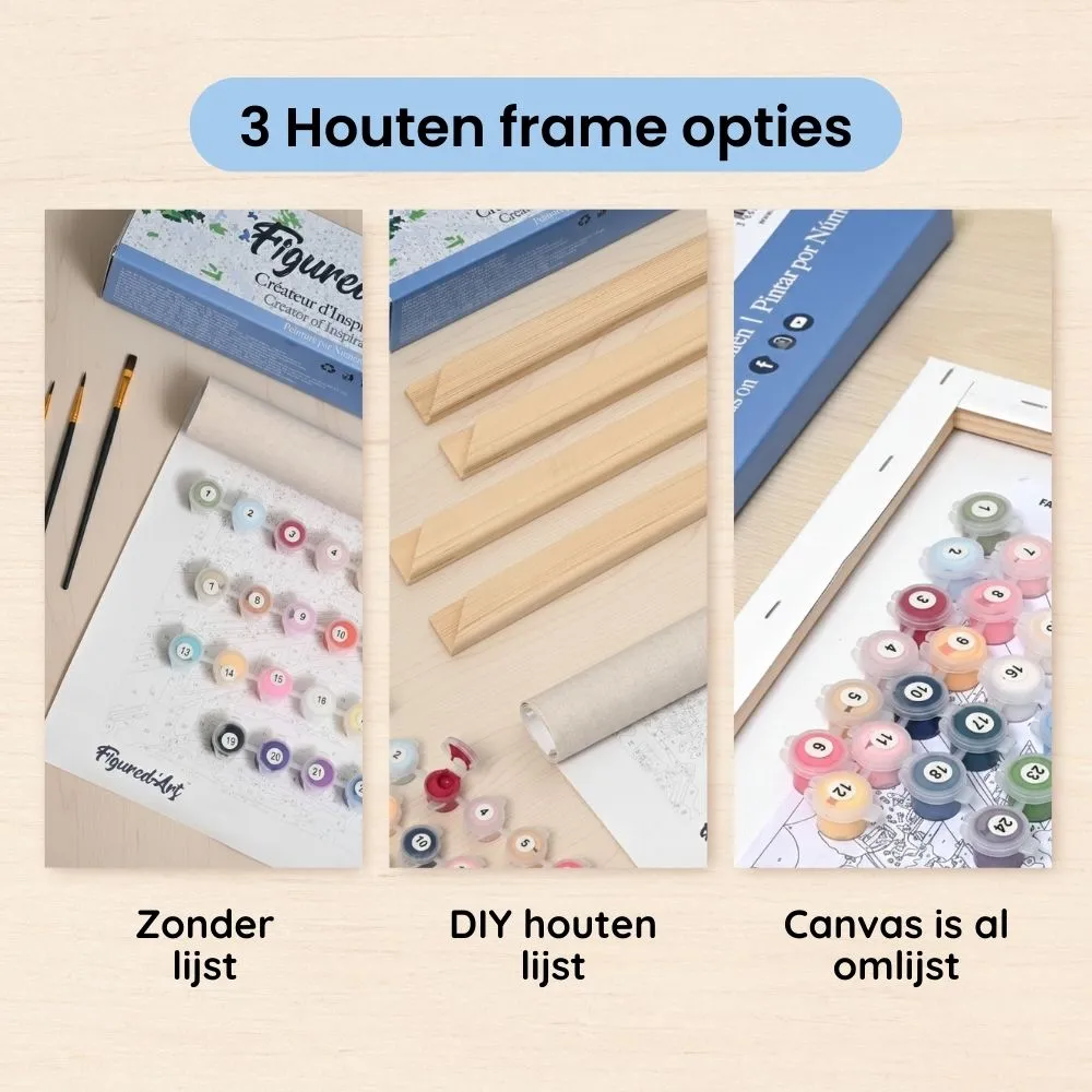 Figured'Art Van Zomer tot Winter in de Woonkamer schilderen op nummer 40x50 cm
