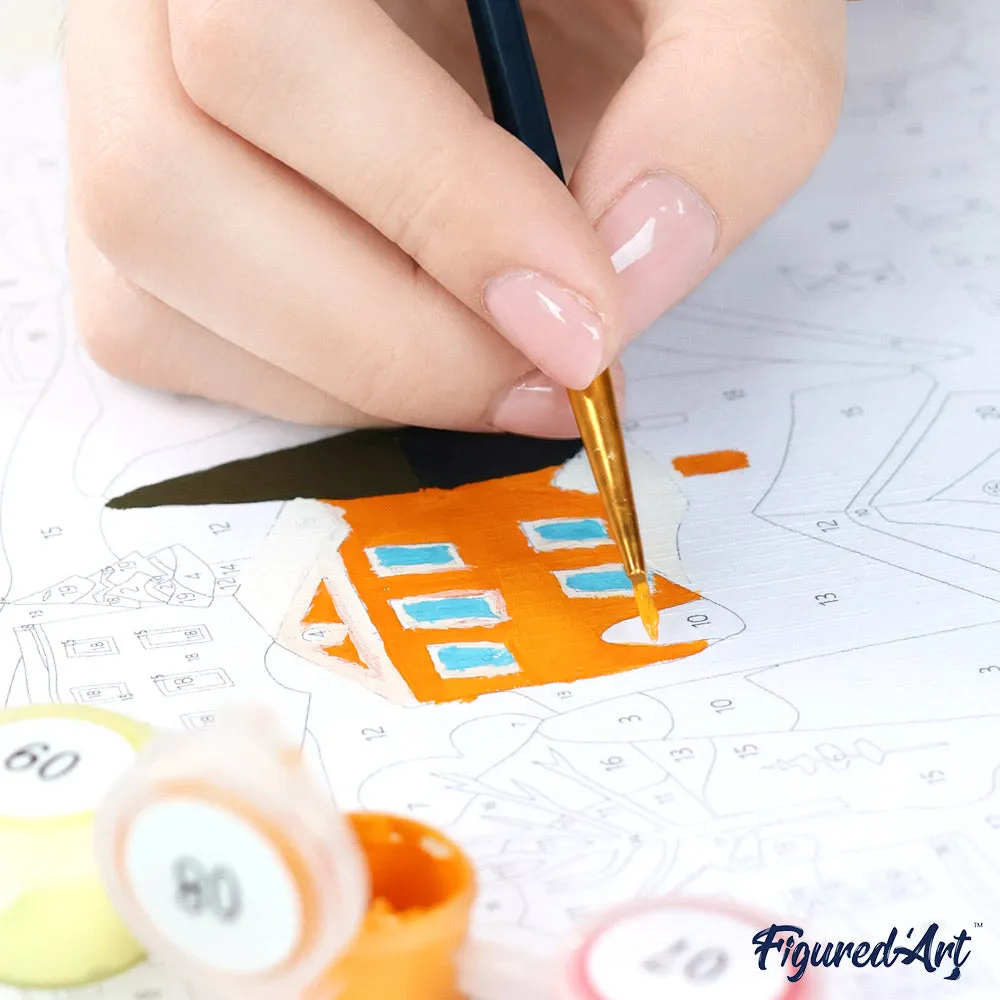 Figured'Art Kleurrijk Winterdorp schilderen op nummer cadeauset winter
