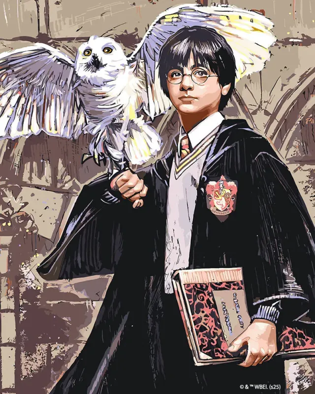 Figured'Art Harry Potter en Hedwig schilderen op nummer 40x50 cm