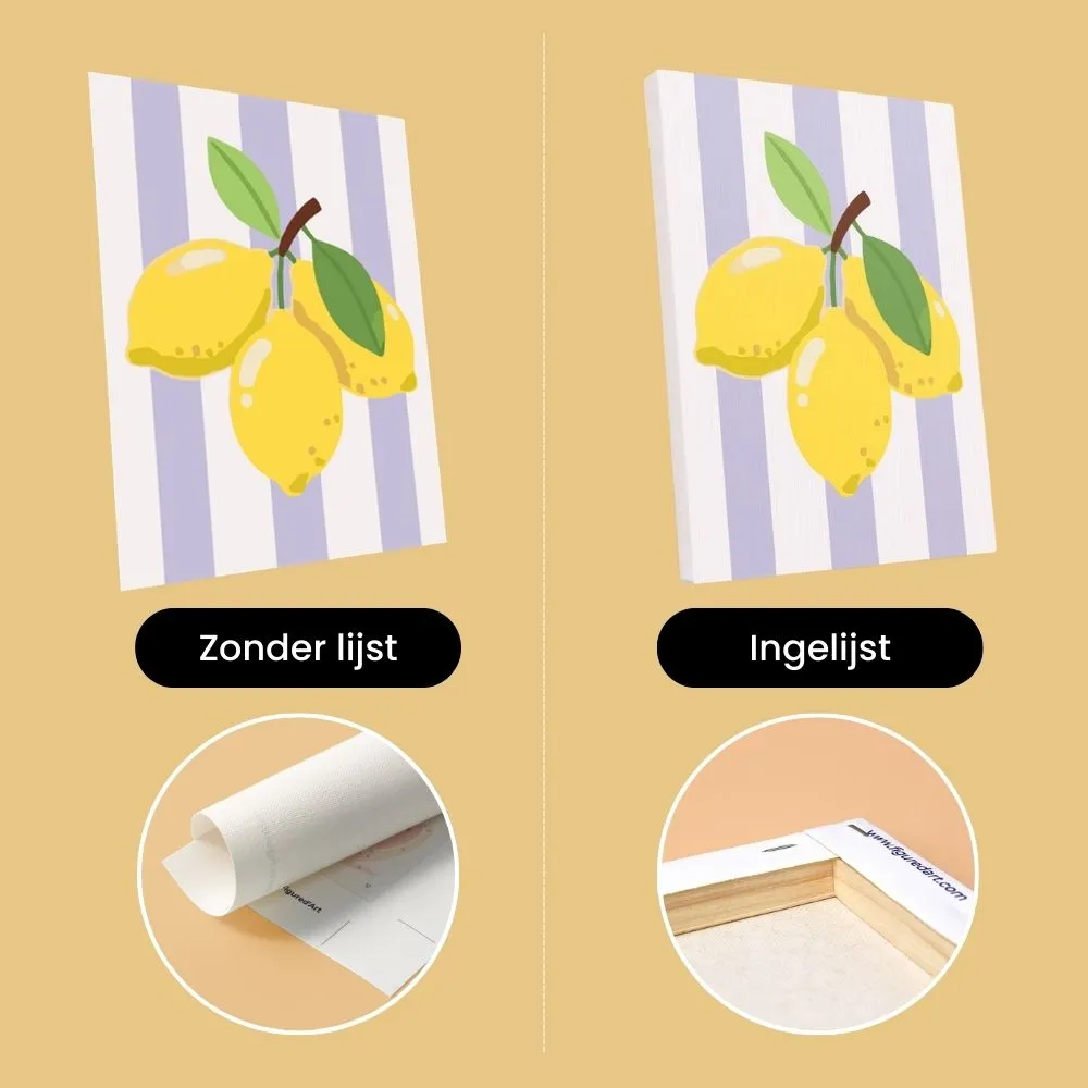 Figured'Art Zonnige Fruitset mini schilderen op nummer 6 stuks 15x20cm