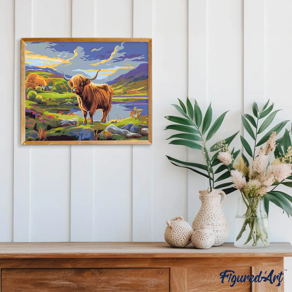 Figured'Art Schotse Hooglander schilderen op nummer 40x50 cm koe