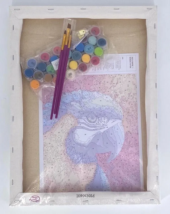 Craft Buddy Paint by Numbers Paradise canvas kit 30x40cm papegaai