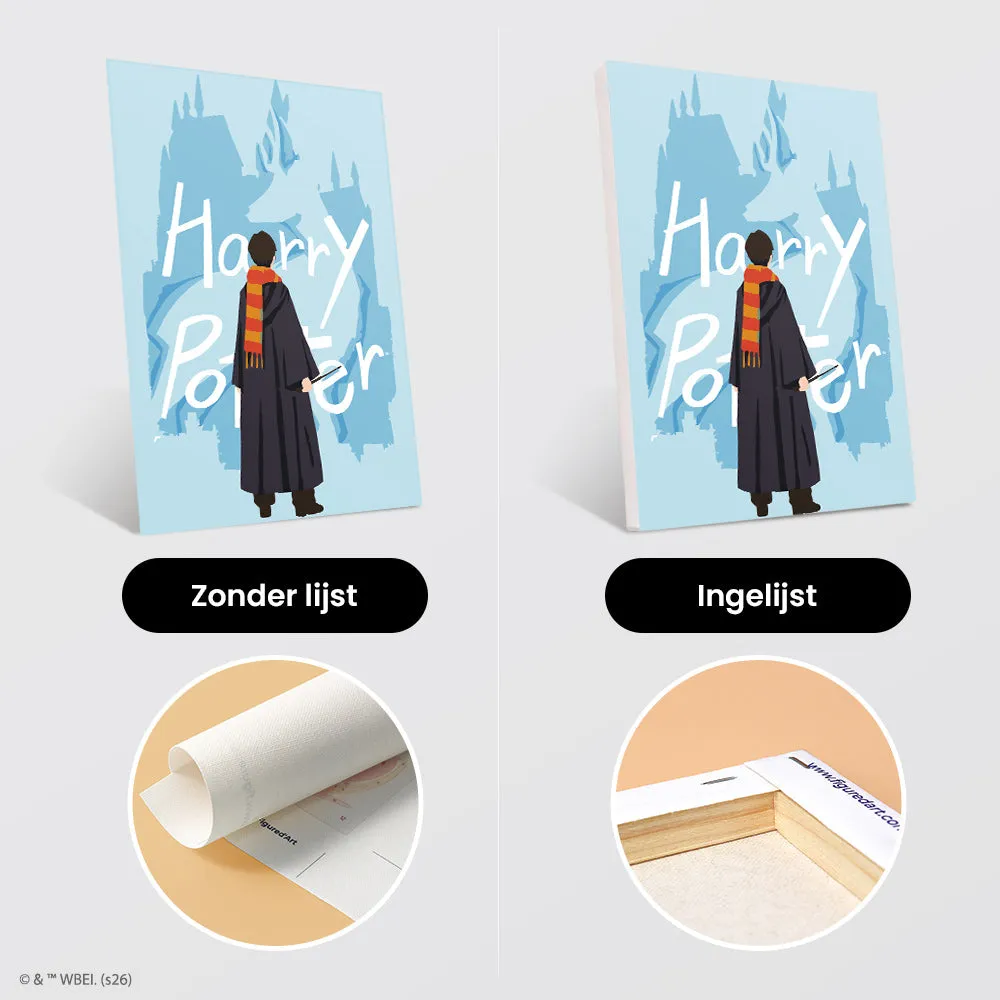 Figured'Art Harry Potter Kijkend naar de Toekomst mini schilderen op nummer 15x20cm 6 stuks