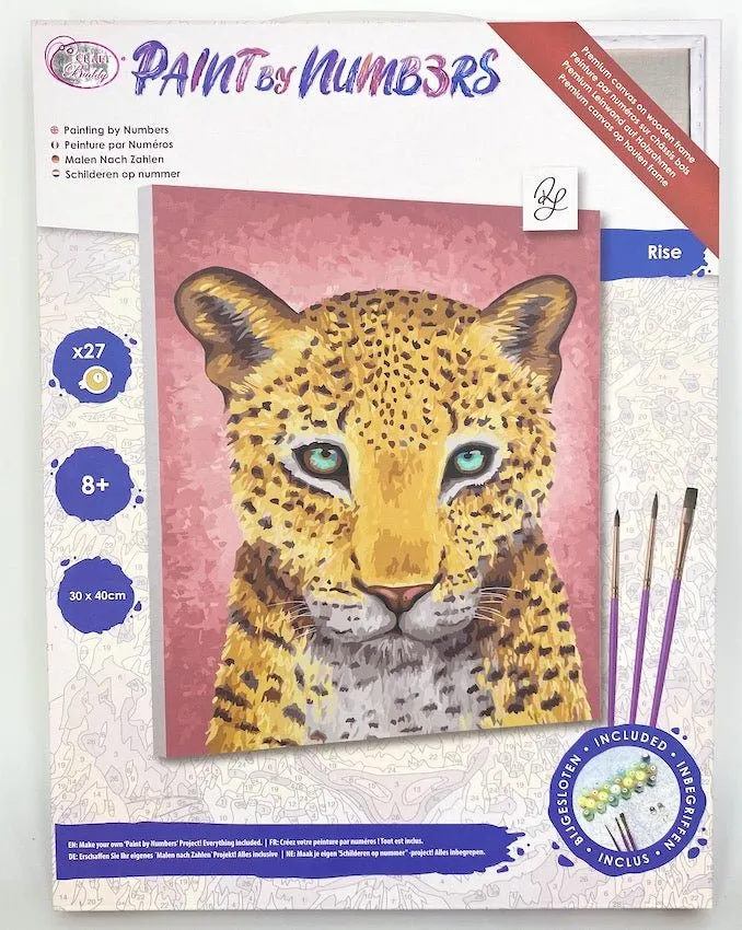 Craft Buddy Rise Rachel Froud schilderen op nummer 30x40cm