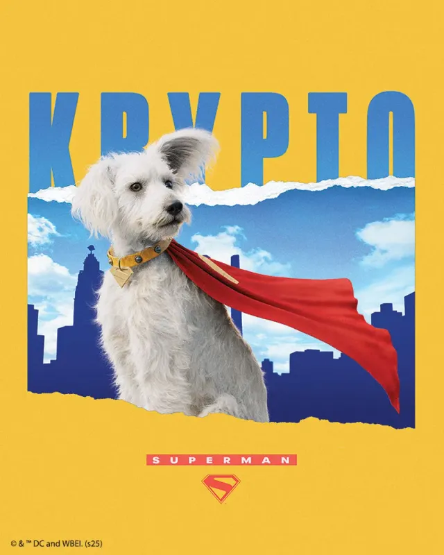 Figured'Art Krypto Superman diamond painting 40x50cm ingelijst