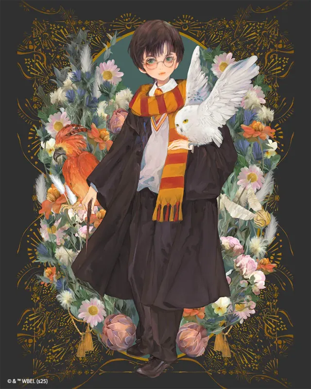 Figured'Art Harry Potter Yume diamond painting 40x50cm ingelijst