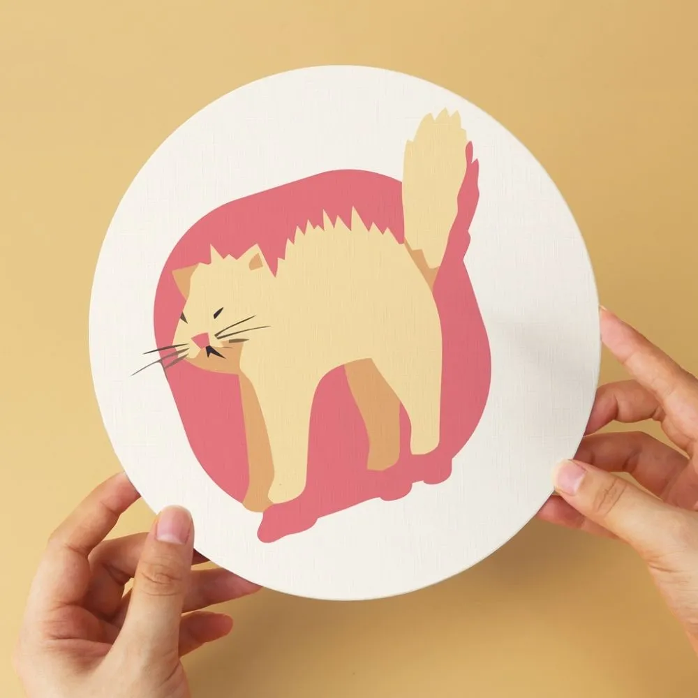 Figured'Art Kattenportret schijven schilderen op nummer 6 stuks