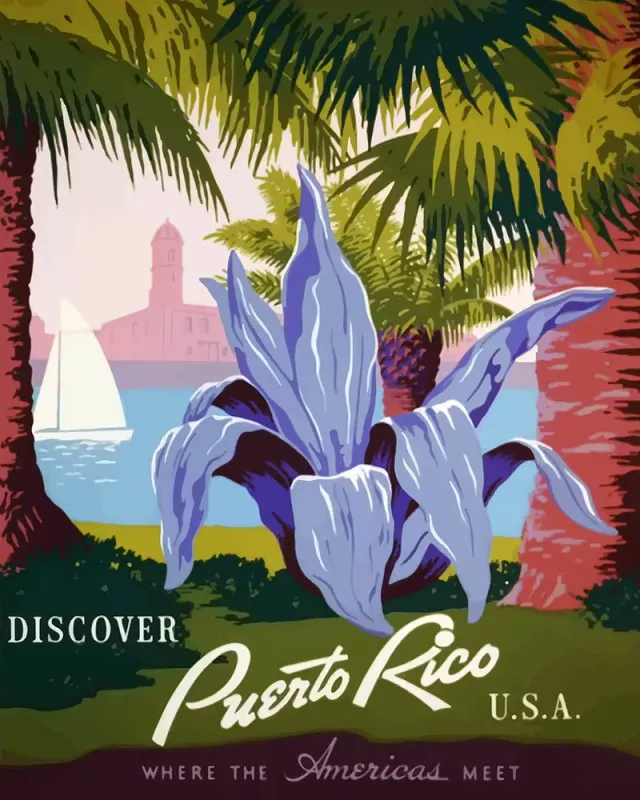 Figured'Art Ontdek Puerto Rico schilderen op nummer 40x50 vintage