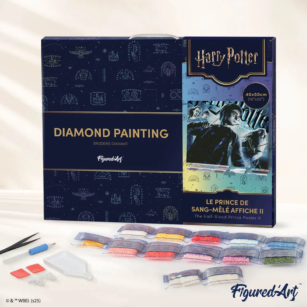 Figured'Art Harry Potter Halfbloed Prins diamond painting 40x50cm